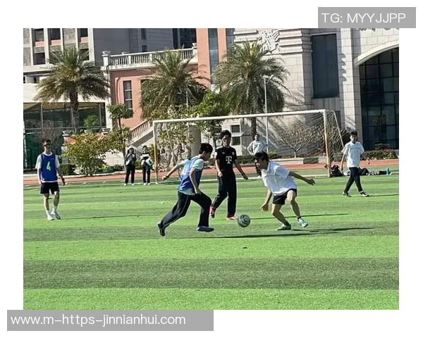 谢什科的传奇人生与足球世界的深远影响探讨